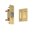 Satin Brass Lifetime Finish-044