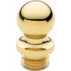 Polished Brass,No Lacquer-031