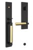 Satin Black-190 / Polished Brass,No Lacquer-031