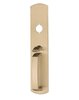 Satin Brass-US4