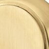 Satin Brass