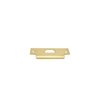 Polished Brass,No Lacquer-031