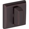 Venetian Bronze-112