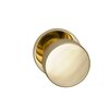 Polished and Lacquered Brass-US3