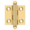 Lifetime Polished Brass-PVD