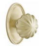 Satin Brass-US4
