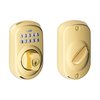Lifetime Bright Brass-505