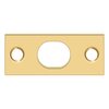 Lifetime Polished Brass-PVD