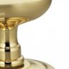 Polished and Lacquered Brass-US3